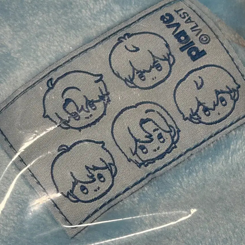 [BUNJANG] PLAVE Concert Blanket / 플레이브 콘서트 담요