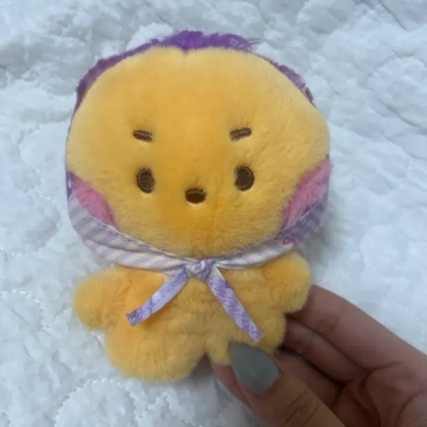 [BUNJANG] Sioning Scarf Wishnini / 스카프 위시니니 시오닝