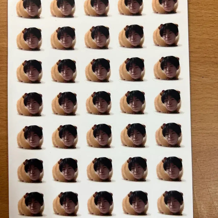 [BUNJANG] NCT WISH Yushi Fan-made Stickers / 엔시티위시 유우시 비공굿 스티커 판매