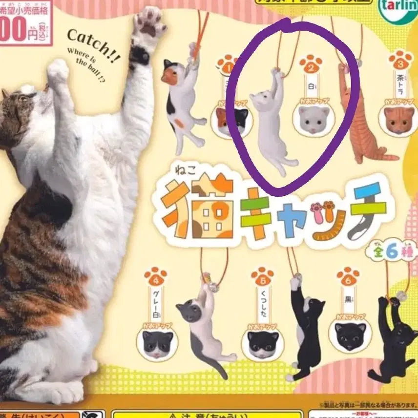 [BUNJANG] Cat Figure Gacha / 고양이 피규어 가챠