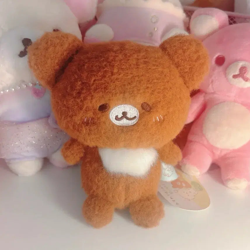 [BUNJANG] Chairoikoguma Honyagurumi Plush Doll / 차이로이코구마 호냐구루미 인형