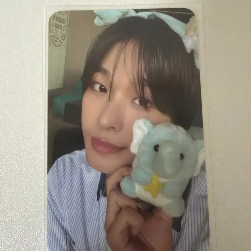 [BUNJANG] Everwish Everland Entrance Photocard Riku / 에버위시 에버랜드 입장 포카 리쿠