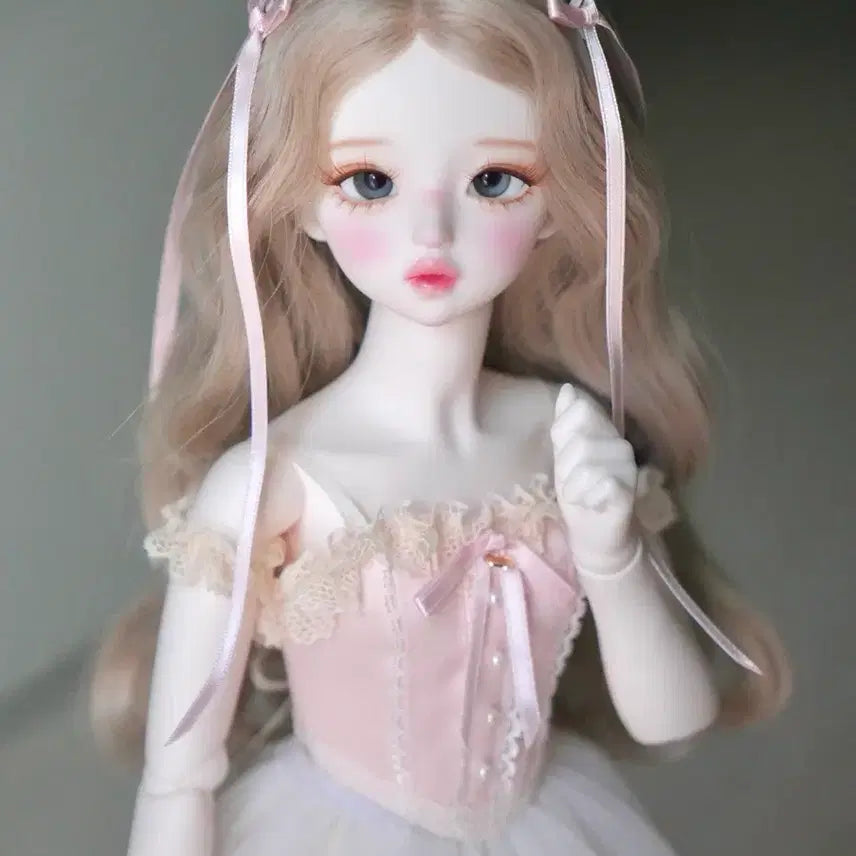 [BUNJANG] LinaShoSho Iberis MSD Limited Edition Head / 리나슈슈 이베리스 msd 한정 헤드 판매