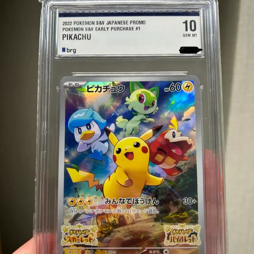 [BUNJANG] Scarlet Pikachu Promo BRG 10 / 2022 스칼렛 피카츄 프로모 brg 10
