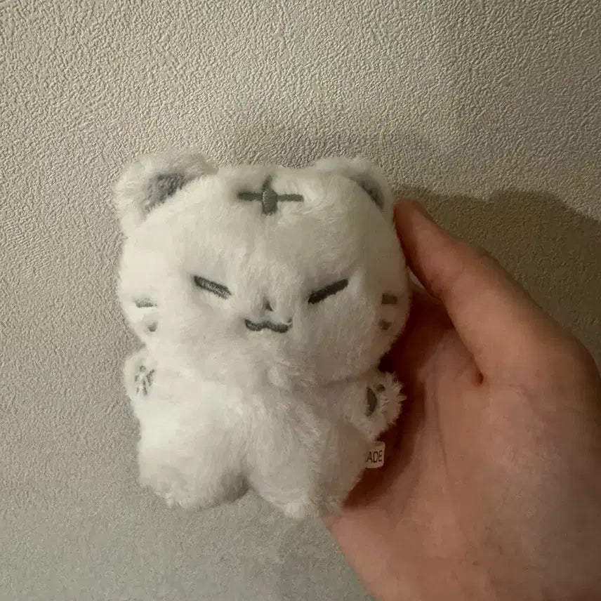 [BUNJANG] Hoshi Doll / 급처)호찌 인형 팔아요