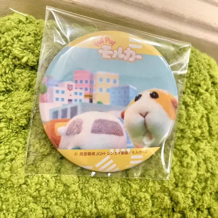 [BUNJANG] Morucca Potato Real Photo Can Badge / 뿌이뿌이 모루카 실사 캔뱃지 포테토