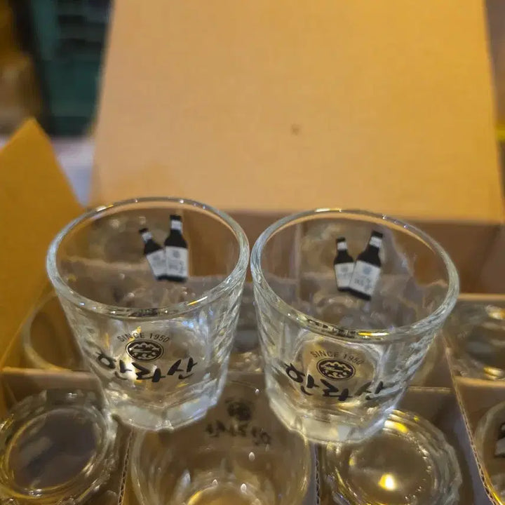 [BUNJANG] Hallasan Olle Soju Glass Set (Vintage) / 한라산 올래 소주잔 소주컵 술잔 레트로 빈티지 컵 잔