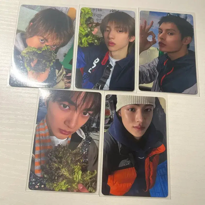 [BUNJANG] Cortis Photocard Bundle Set / 코르티스 포카 특전 5장 일괄