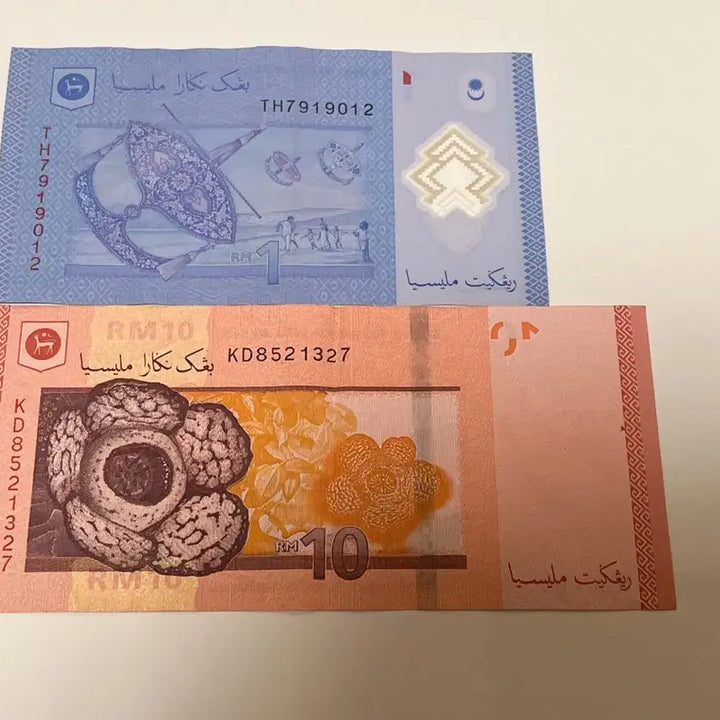 [BUNJANG] Malaysia Circulating Banknotes Set (RM1, RM10) / 말레이시아 현행 유통지폐 2종 세트 (RM1  RM10)