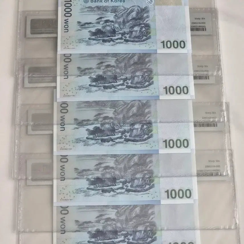 [BUNJANG] PMG Graded 66 - Ultra-Low Serial Number Binary Collection (5 types) / PMG 66등급 초저번호 바이너리 5종 컬렉션 0000044~0000088