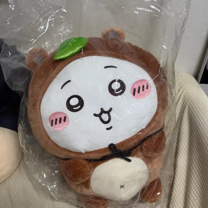 [BUNJANG] Cheekawa Tanukidamon Raccoon Mascot Plush / 치이카와 타누키다몬 너구리 쿠지 A상 미개봉