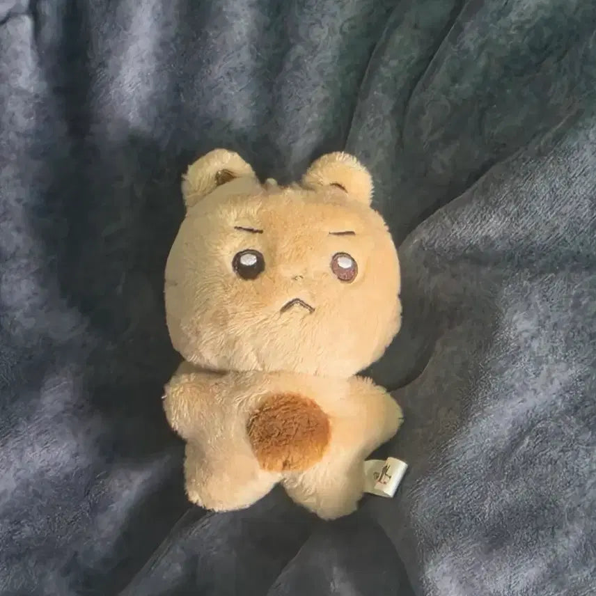 [BUNJANG] LUCY Choi Sangyeop Yeoptori Doll / 루시 최상엽 인형 엽토리 LUCY 양도 판매 급처