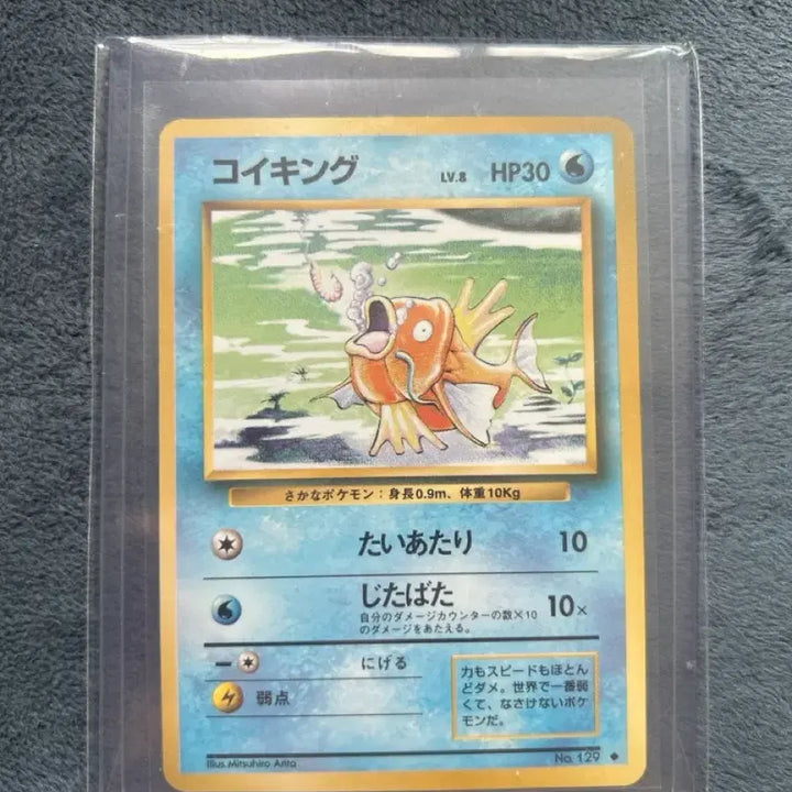[BUNJANG] 1996 Magikarp 1st Edition Japanese Card / 1996년 일판 잉어킹 초판 카드