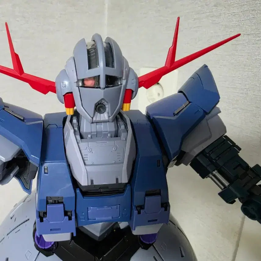 [BUNJANG] 1/100 Zeong Chinese Model Kit / 중국제 프라모델  1/100 지옹 팝니다.