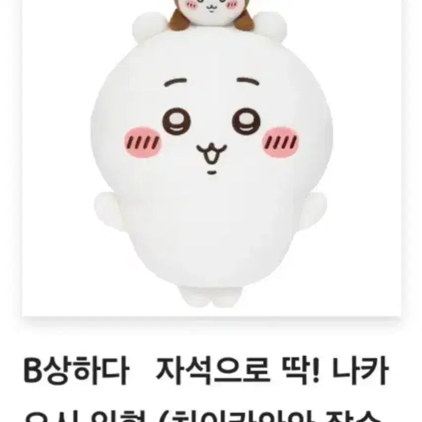 [BUNJANG] Chiikawa "Beetle" B Prize / 치이카와 쿠지 B상 풍뎅이