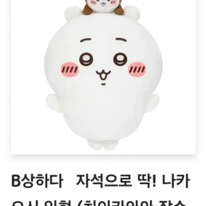 [BUNJANG] Chiikawa "Beetle" B Prize / 치이카와 쿠지 B상 풍뎅이