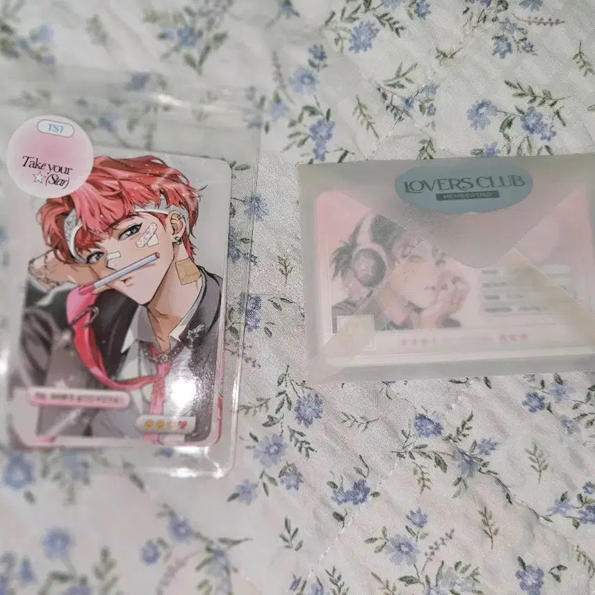 [BUNJANG] Debut or Die Tamaneugi School Look Photocard Bundle Set / 데못죽 다마네기님 스쿨룩 포토카드 포카 학생증 일괄