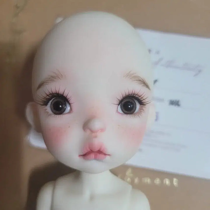 [BUNJANG] Darakai Nicole Ball-Jointed Doll / 다락아이 니콜  육일돌 구체관절 인형