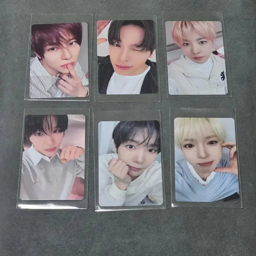 [BUNJANG] NCT WISH Color Pop-Up Store 4th Merchandise / 엔시티 위시 260317 컬러 팝머치 4차 - 2 nct wish