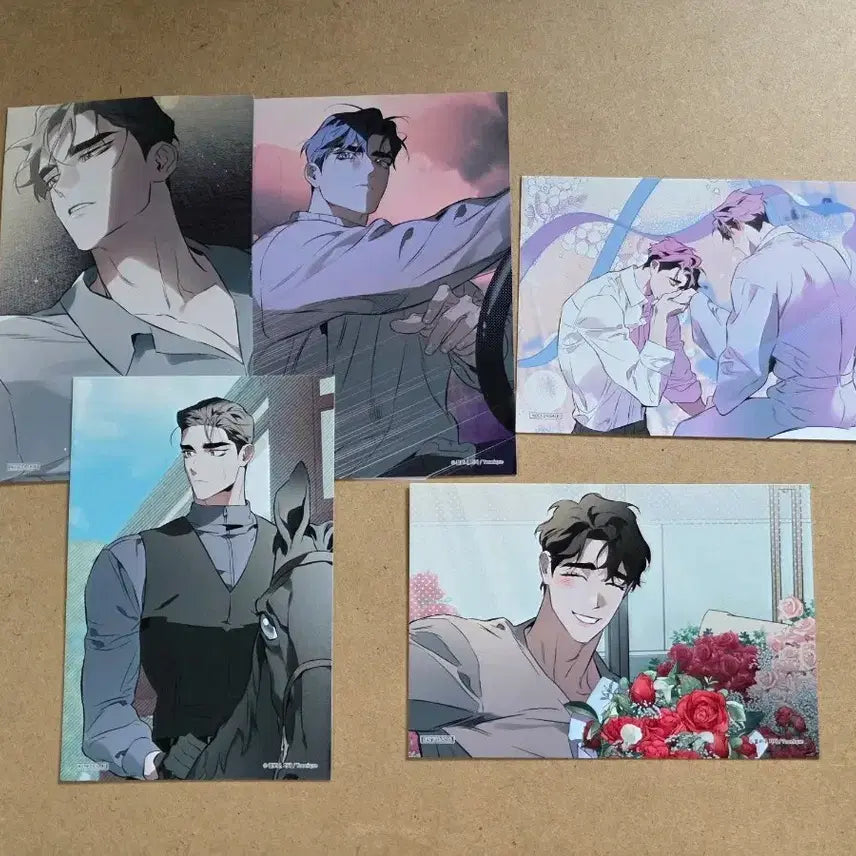 [BUNJANG] DTR Dfinderrelationship Postcard Bundle Set / 디티알 dtr 디파인더릴레이션쉽 엽서 일괄