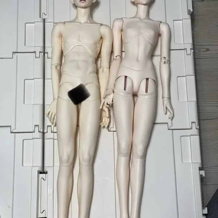 [BUNJANG] Alazi Hibiscus Half-Open Eyes Ball Jointed Doll Head &amp; Switch Labyrinth BJD Body Rosy White Bundle Set / 알하지 히비스커스 반개안 구관헤드&amp;스위치 라비린스 구관바디 로지 화이트 일괄