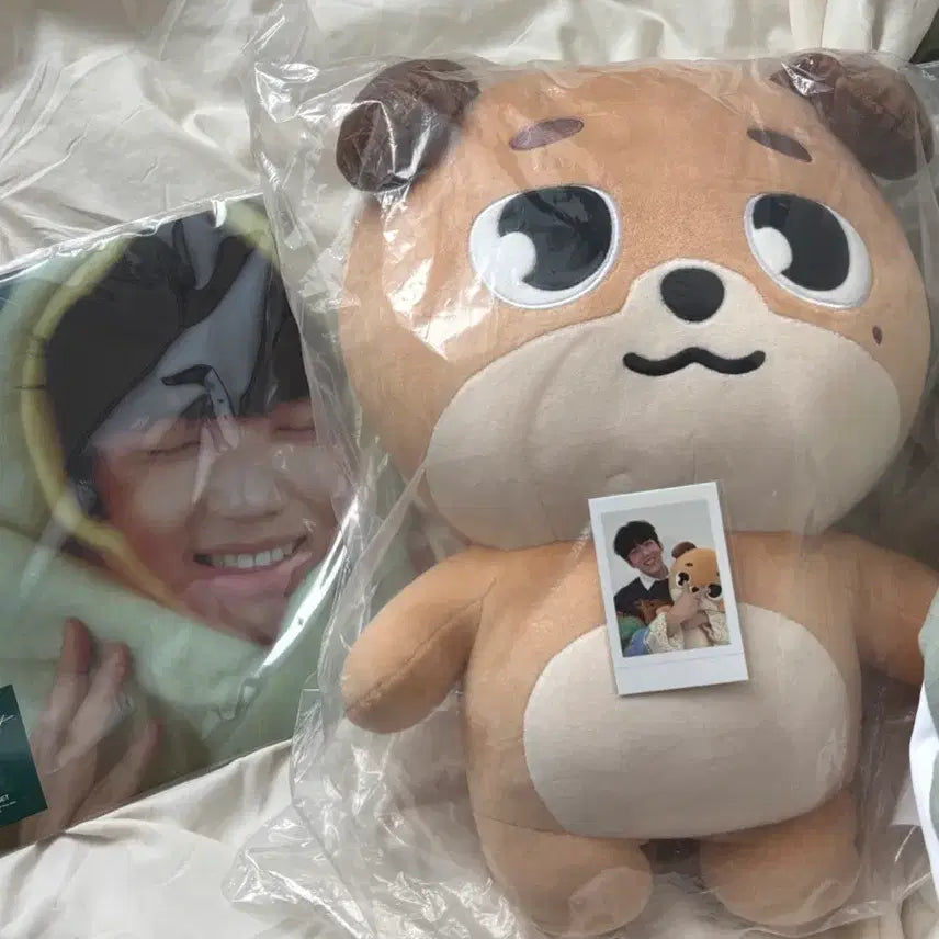 [BUNJANG] Day6 Giant Doll Sealed Bundle Set / 데이식스 자멀돈 원양 (미개봉, 폴라포함, 덤증정)