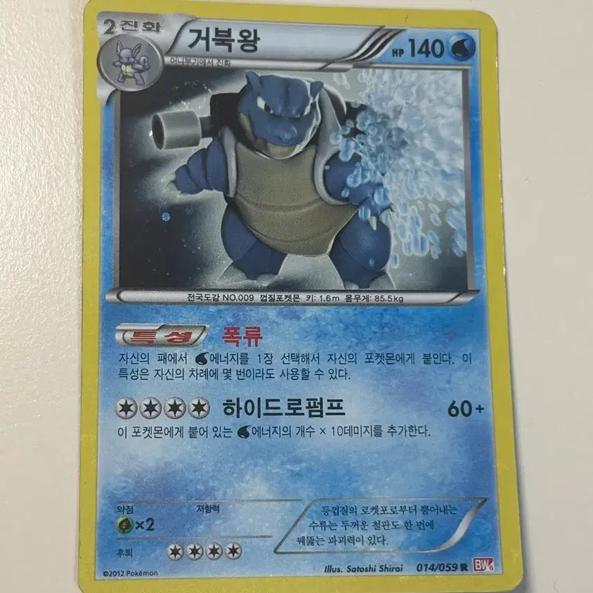 [BUNJANG] Torterra BW Holo Card - Classic Card (2012) / 거북왕 bw홀로카드 고전카드 2012