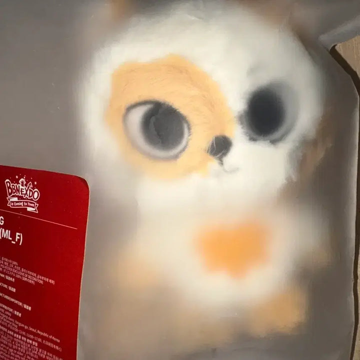 [BUNJANG] BOYNEXTDOOR Seungho Catty Plush Keychain + Photocard (Sealed) / 보넥도 쁘넥도 성호 캣삐 플러시 키링 +증사 미개봉