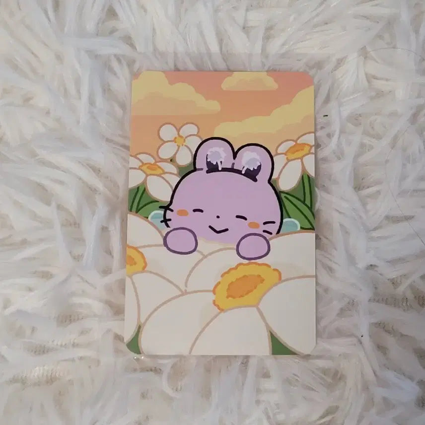 [BUNJANG] Suhyun Photocard / 수현님 포카