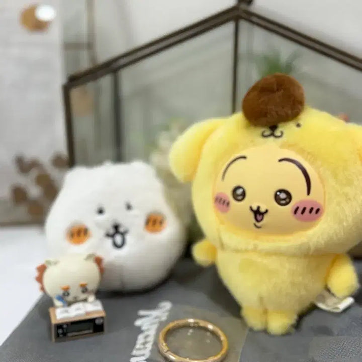 [BUNJANG] Chiikawa Kirameko Usagi x Sanrio Pompompurin Collaboration Mascot Keychain Plush / 치이카와 키라메코 우사기 산리오 폼폼푸린 콜라보 마스코트 키링 인형 농담곰