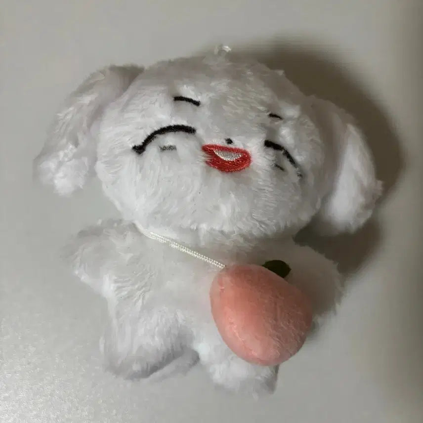 [BUNJANG] BTOB Lee Changsub 10cm Doll "Daengdeop" Peach Bag Bundle / 비투비 이창섭 10cm 인형 댕댕섭 판매