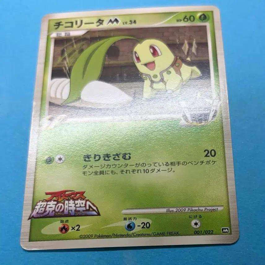 [BUNJANG] Pokemon Card Japanese Chikori-ta M 001/022 Promo / 포켓몬카드 일판 치코리타 M 001/022 프로모