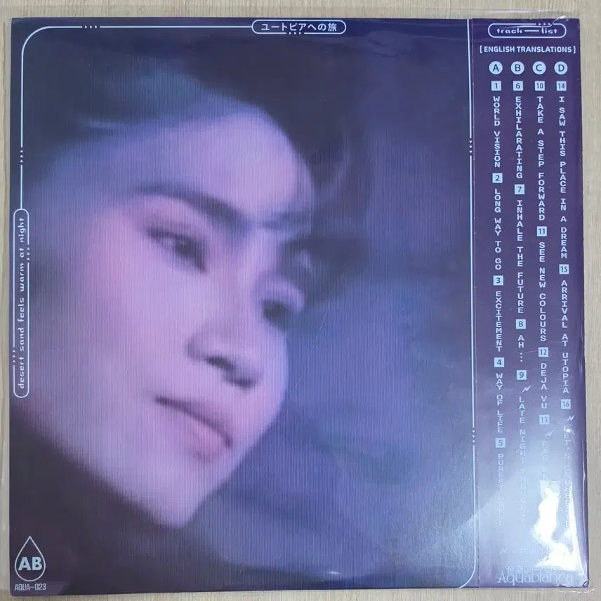 [BUNJANG] Desert sand feels warm at night Jorney to Utopia Gatefold (Slushwave) LP / DSFWAN Jorney to Utopia lp 게이트폴드 (슬러시웨이브)