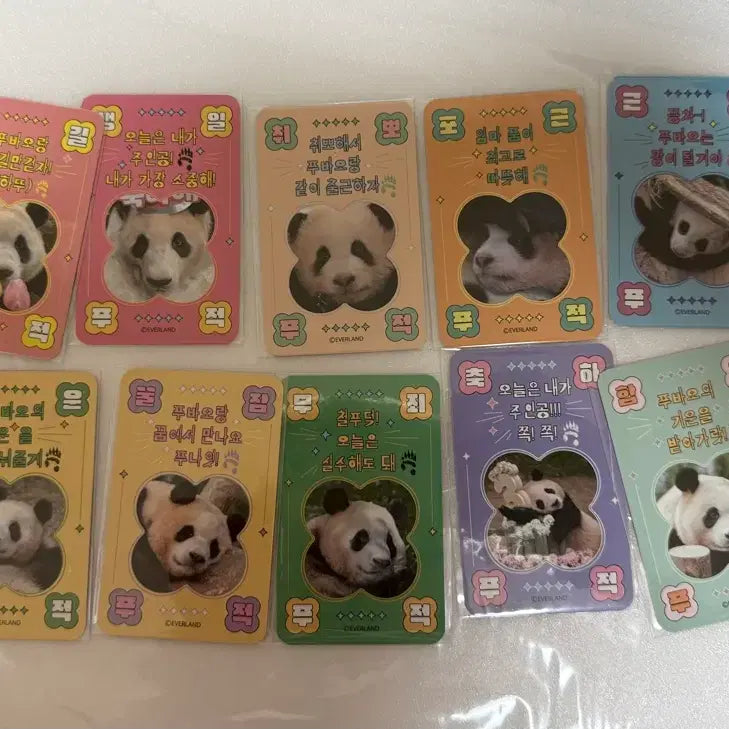 [BUNJANG] Everland Fu Bao 2024 Season&