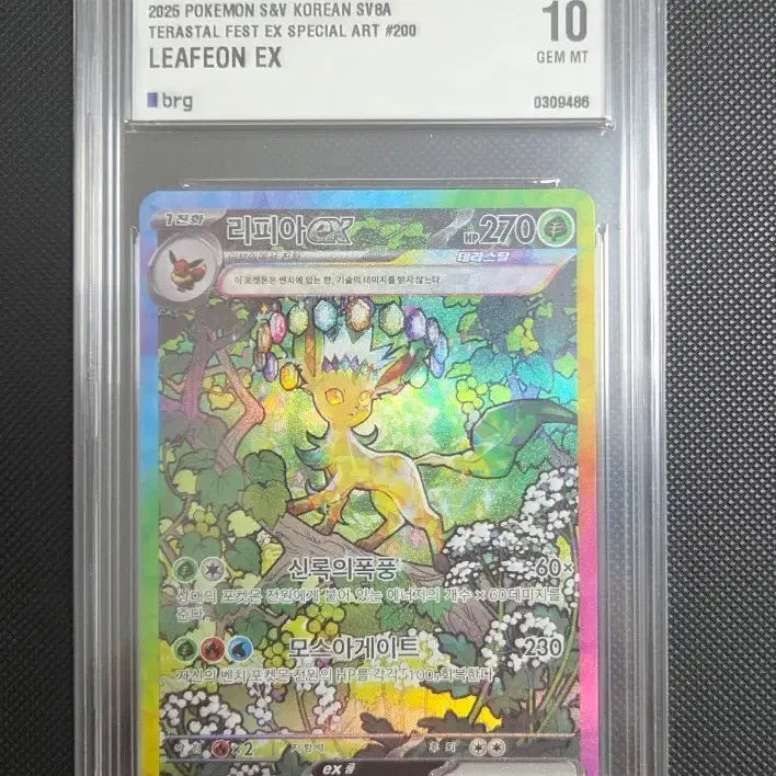 [BUNJANG] Leafeon SAR BRG10 / 포켓몬 카드 리피아 SAR brg10