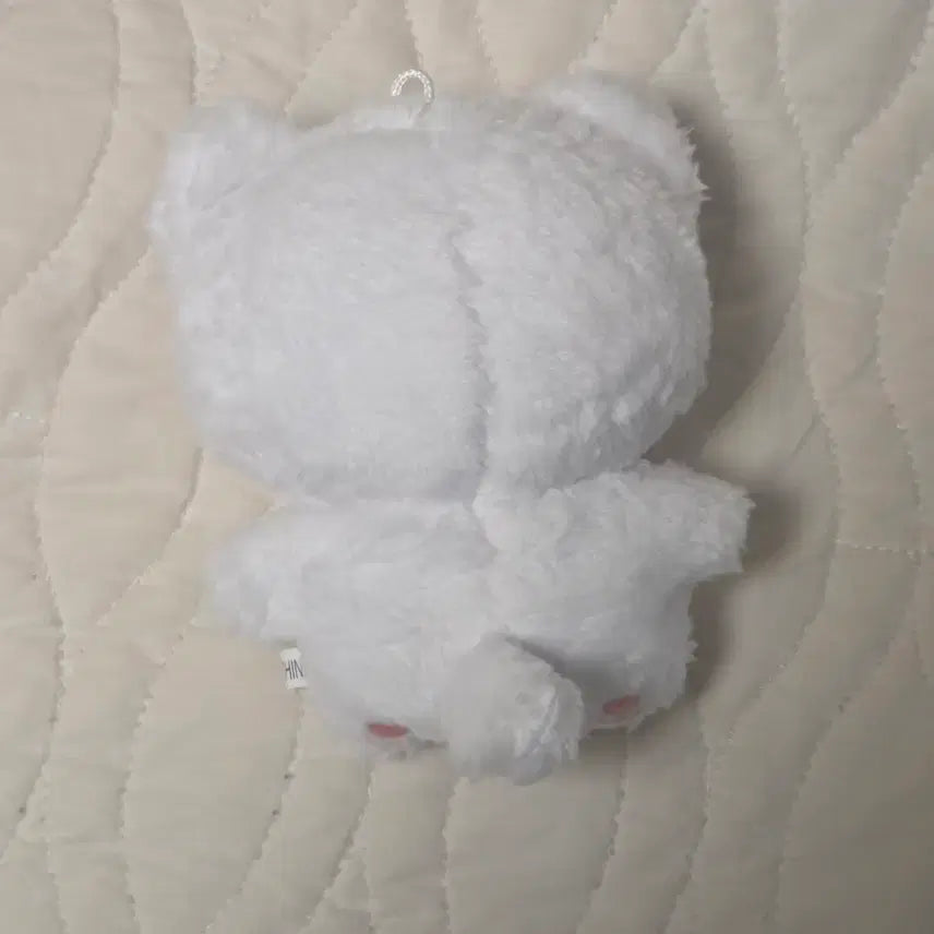 [BUNJANG] INTO1 Zhou Keyu Cat Plush / 빵주, 김병주 인형