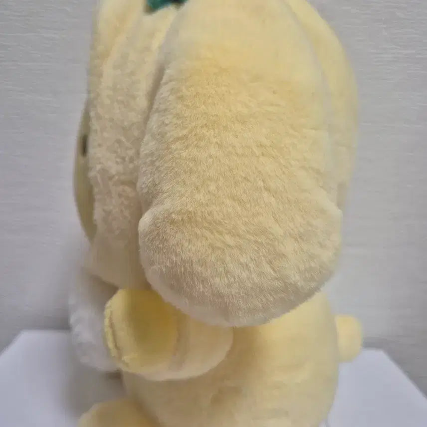[BUNJANG] Sanrio Pompompurin Plush Doll / 폼폼푸린 인형