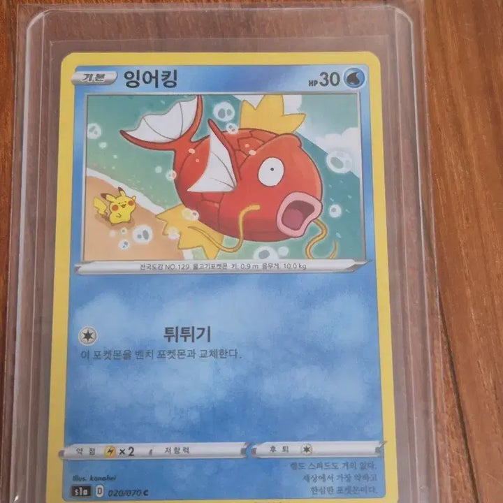 [BUNJANG] Kanahei Magikarp Pokemon Card / 카나헤이 잉어킹 카드 포켓몬카드