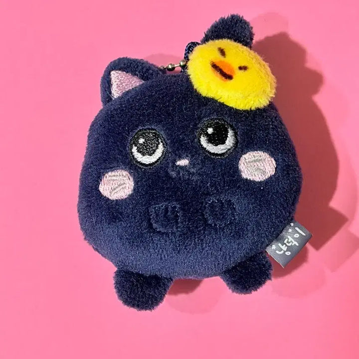 [BUNJANG] RIIZE Wonbin Mini Tto-nyangdeok Ddung-nyangdeok LyRIIZE Doll Keyring Goods / 라이즈 원빈 미니 토냥덕 뚱냥덕 리라즈 인형 키링 굿즈