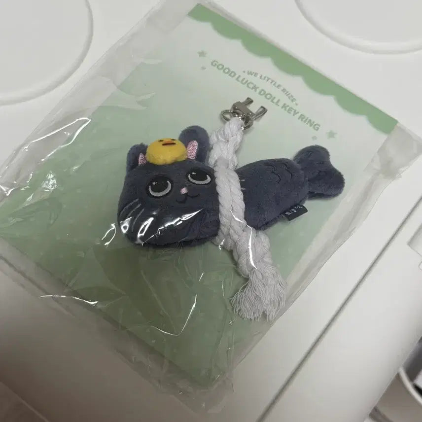 [BUNJANG] RIIZE Tonnyangdeok Lucky Draw Photocard Holder Sealed / 라이즈 토냥덕 액막이 미개봉