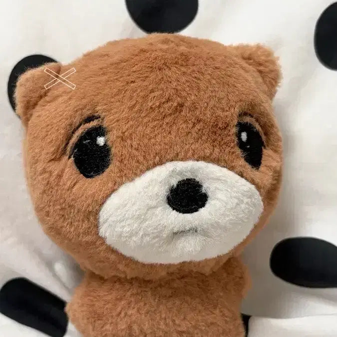 [BUNJANG] NCT Haechan Dongbae Lee Dongbae Plush / 엔시티 해찬 인형 동배 이동배