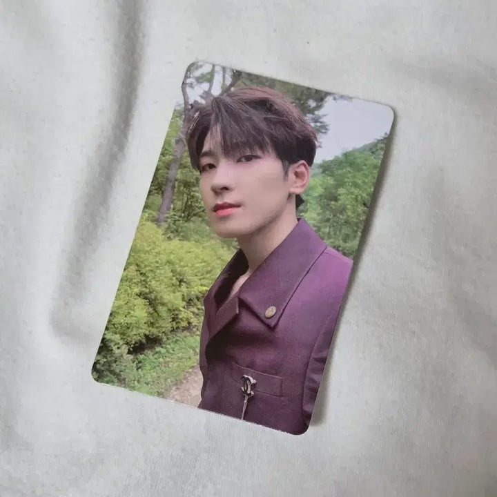 [BUNJANG] SEVENTEEN Wonwoo Social Club Photocard / (급처) 소셜클럽 세븐틴 원우 포토카드