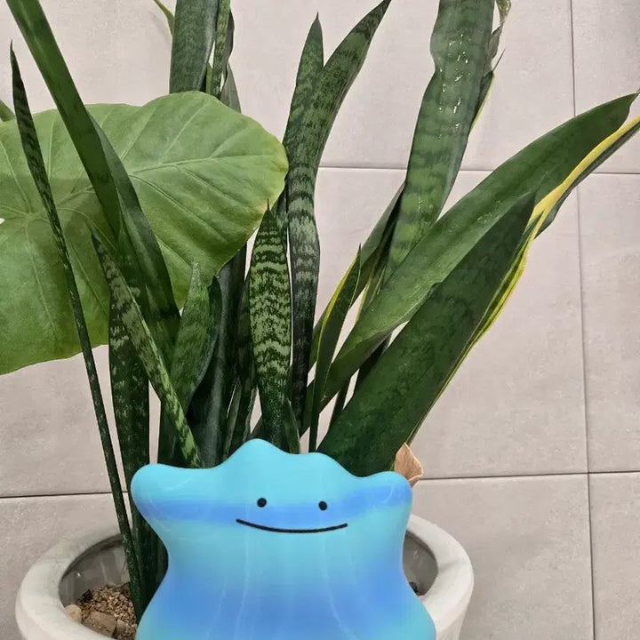 [BUNJANG] Shiny Ditto / 이로치 메타몽