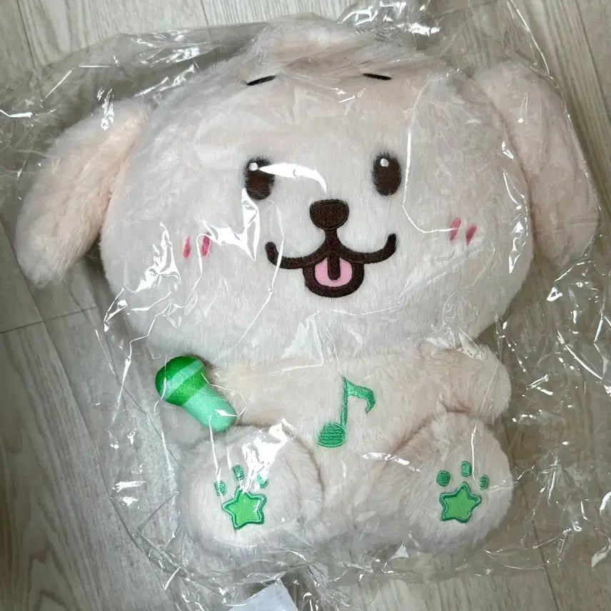 [BUNJANG] NCT WISH Jaehee 30cm WISHDOLL / 엔시티위시 30CM WISHDOLL jaehee재희