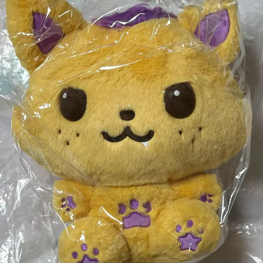 [BUNJANG] NCT WISH Sion WISHDOLL 30CM / 엔시티위시 30CM WISHDOLL Sion시은