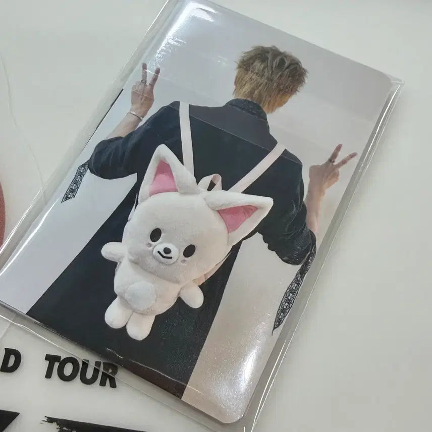 [BUNJANG] Stray Kids SKZOO RUN IT SEOUL 7/26 Admission Gift Set / 스트레이키즈 RUN IT SEOUL 7/26 day2 입장기프트 stray kids skzoo