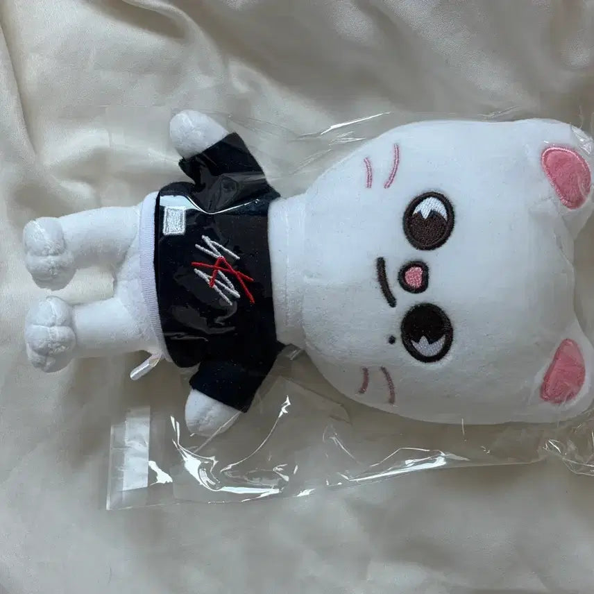 [BUNJANG] Stray Kids Hyunjin 20cm Doll / 지니렛 스키주 스키즈 스트레이키즈 현진 인형 20cm
