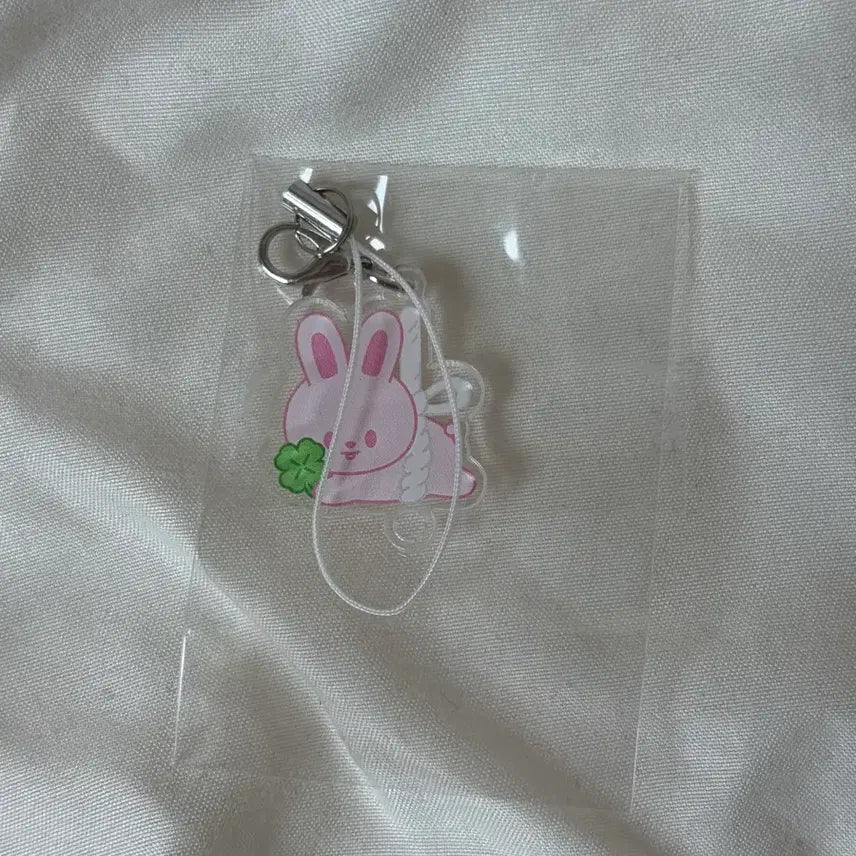[BUNJANG] Stray Kids Lee Know 6th Generation Fan Meeting Stay Zone Support Keyring (Opened) / 리빗 스키즈 팬미팅 6기 스테이존 조공 키링 리노