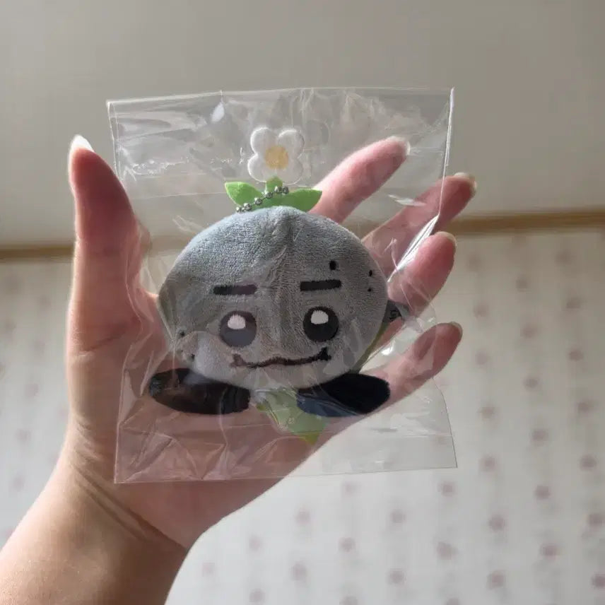[BUNJANG] N.Flying Seo Dong Sung "Dongmengyi" Flat Cushion Keyring / 엔플라잉 서동성 동멩이 납작 쿠션 키링 양도