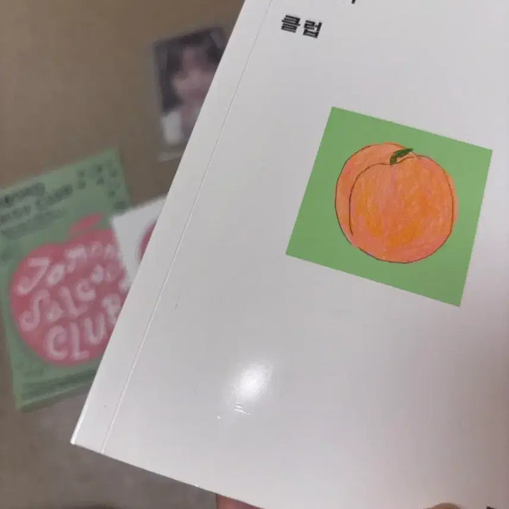 [BUNJANG] Hanroro Jamongsalgucleub Book Album CD Photocard Sticker / 한로로 자몽살구클럽 책 앨범 CD 포카 스티커